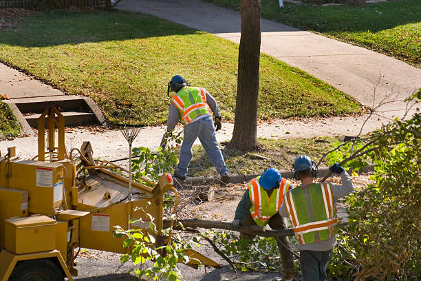 Lawn Drainage Solutions in Greene, RI